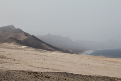 IMG_7655 IMG_7655